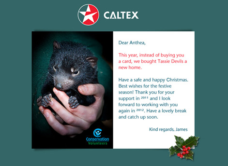 Happy Holidays Caltex Custom eCard for Business